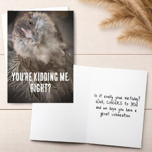 Cartão Foto de Fecho de Galinha Inclinada Enrolada