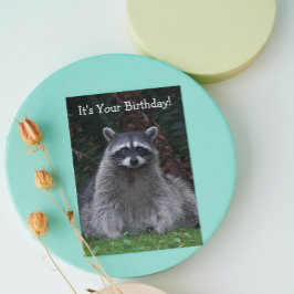 Cartão Foto de Feliz Aniversário da Floresta Raccoon