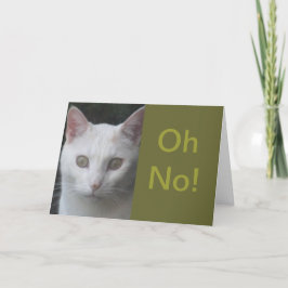 Cartão Foto de Gato Branco humorada ganha bem carta