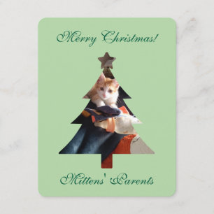 Cartão Foto de Gato com Felicitaciones de Natal