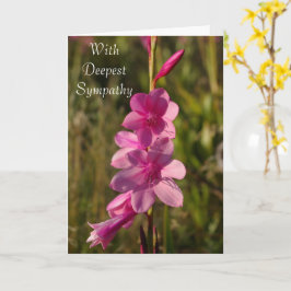 Cartão Foto de Mensagem de Script Branco Floral Rosa de S