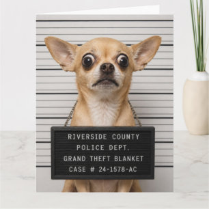 Cartão Foto de Mugshot de Chihuahua: Grande Roubo de Cobe