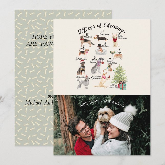 Cartão Foto de Natal 12 Cães Natal com Papais noeis Paws (Frente/Verso)