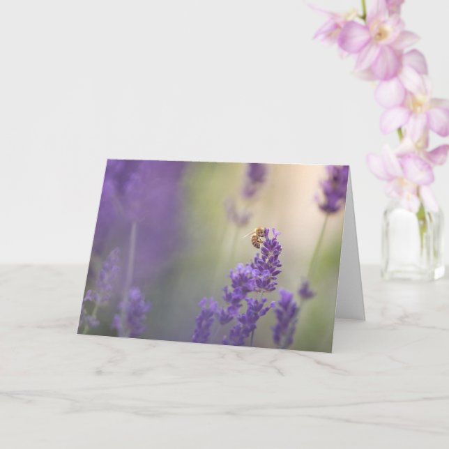 Cartão Foto de Natureza da Abelha de Flor lavanda (Orquídea)