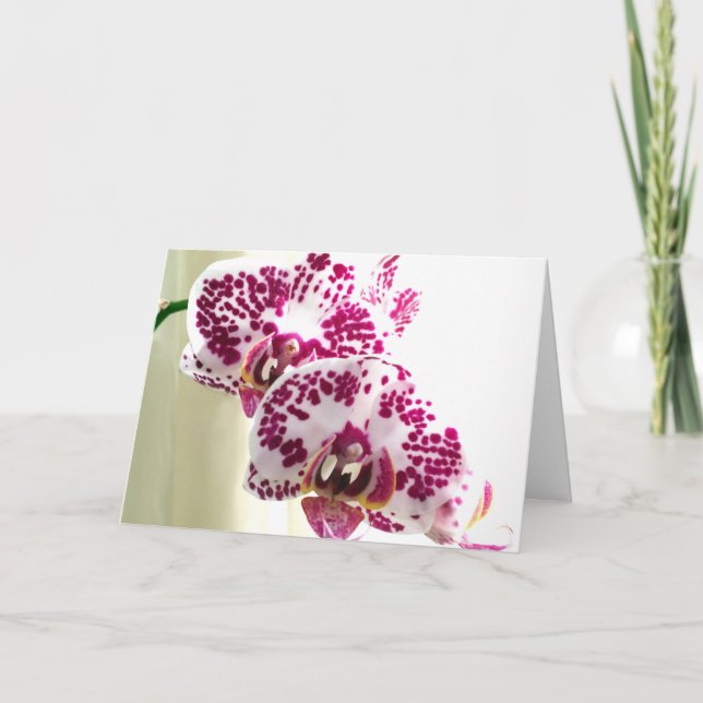 Cartão Foto de Orquídea Roxa Variegada Pensando em Você (Frente)