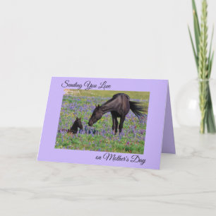 Cartão Foto de pasto de bluebells do Dia das Mães com égu