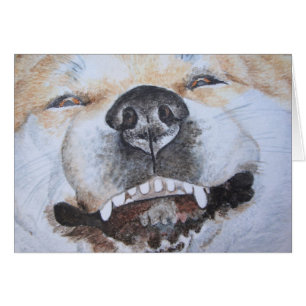 Cartão foto de um cachorro sorridente engraçado akita