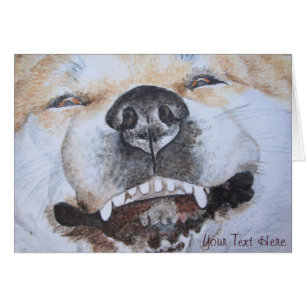 Cartão foto de um cachorro sorridente engraçado akita