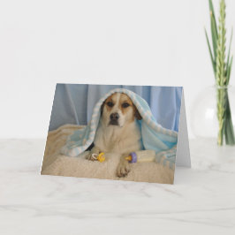 Cartão Foto de um cão como um bebé
