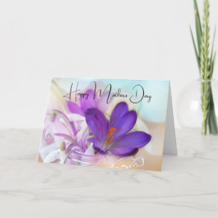 Cartão Foto de um Crocus roxo da primavera no Dia das Mãe