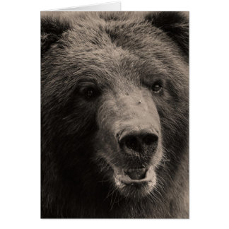 Cartão Foto de vida selvagem do urso pardo