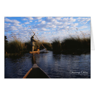 Cartão Foto delta do Okavango