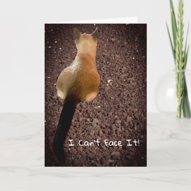 Cartão Foto do Bumbum Engraçado Siamese Kitten - Belo Ani (Frente)