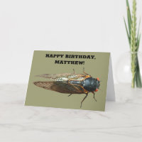 Foto do Inseto de Cicada, Inseto Personalizado Ani
