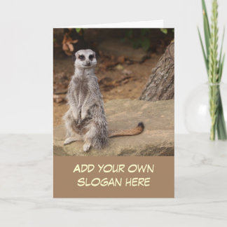 Cartão Foto do Meerkat bonito para personalizar-se