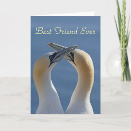 Cartão Foto do Melhor Amigo Nunca Mais Bestie