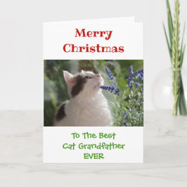 Cartão Foto do Melhor Gato do Natal