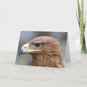 Cartão Foto do olho da águia