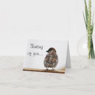 Cartão Foto do pardal