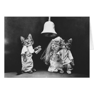 Cartão Foto do vintage - um casamento do gato do gatinho,