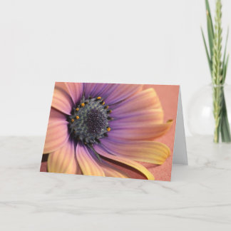 Cartão Foto e design por Charmaine French-Allaka 112010