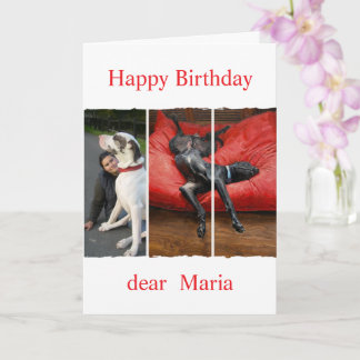 Cartão Foto e mensagem personalizadas de animal de estima