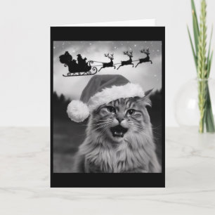 Cartão Foto Engraçada de Gato com Papai Noel Trenó de Nat
