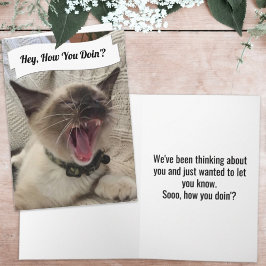 Cartão Foto Engraçada de Gato Siameso Gritando Como Você 