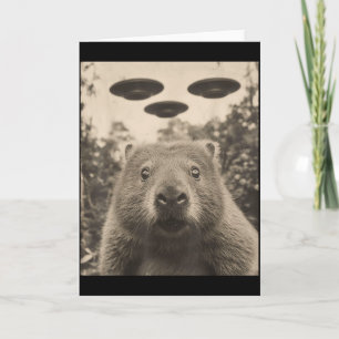 Cartão Foto engraçada de marmota com óvnis Marmota estran