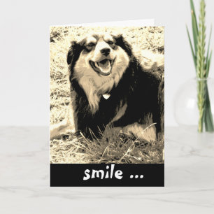 Cartão foto engraçada de sorriso de cachorro fofo de aniv