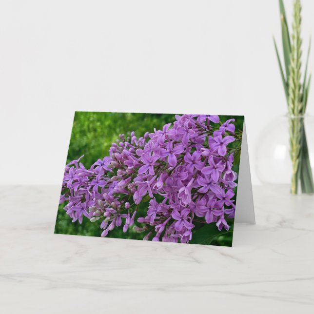 Cartão Foto floral roxa lilás romântico elegante roxo (Frente)