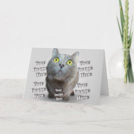 Cartão Foto Incrível de Pássaro Gato-Cão