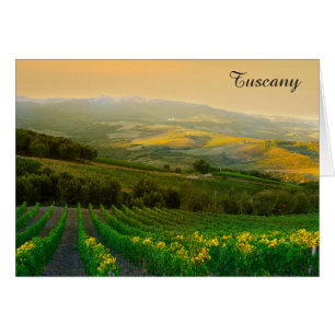 Cartão Foto italiana do vinhedo de Toscânia Italia