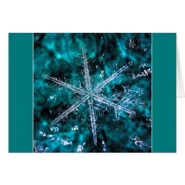Cartão Foto Macro Floco de Neve para adicionar seu própri (Frente Horizontal)