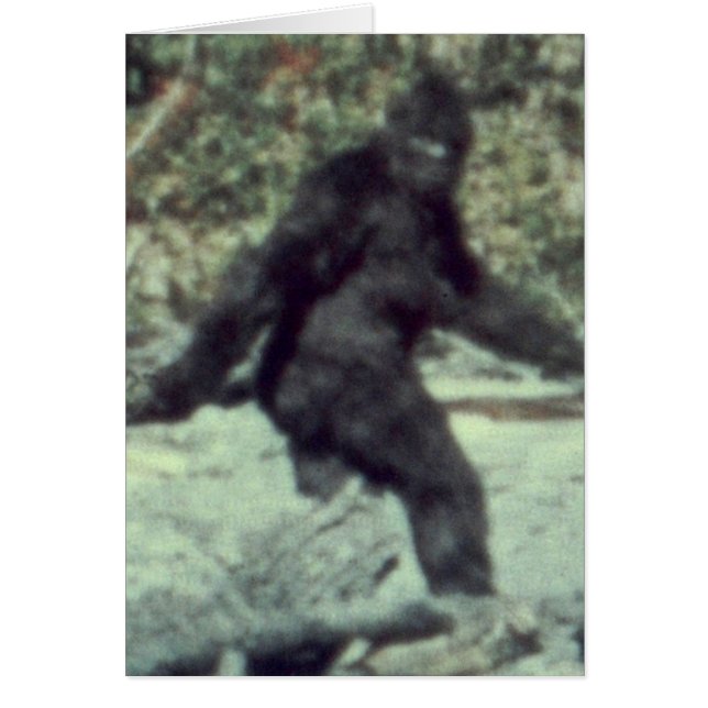 CARTÃO FOTO ORIGINAL DA SASQUATCH DE PÉ-BAIXO 1967 (Frente)