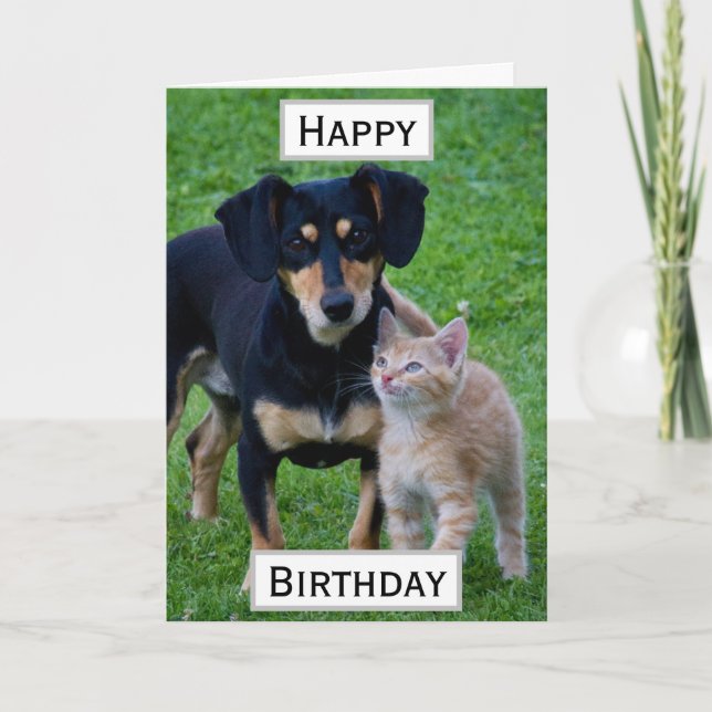 Cartão Foto Parente de Pet de Aniversário (Frente)