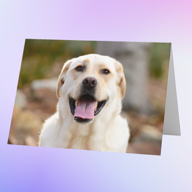Cartão Foto personalizada de cão (Criador carregado)