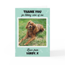 Foto personalizada de cuidados com animais de esti