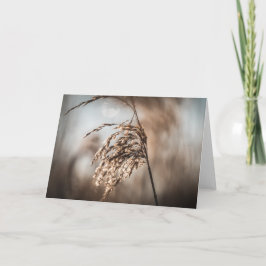 Cartão Foto Reed Nature