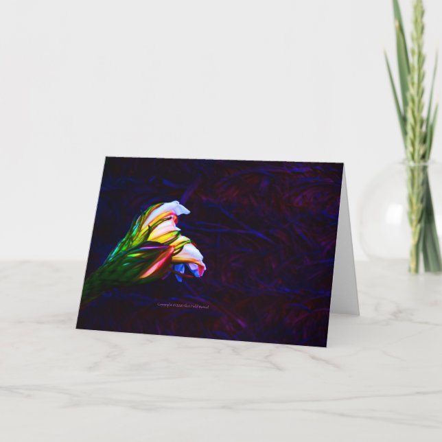 Cartão Fotografia "Cactus Flower At Sunset #85" (Frente)