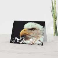 Fotografia da Águia Americana Eu Te Amo