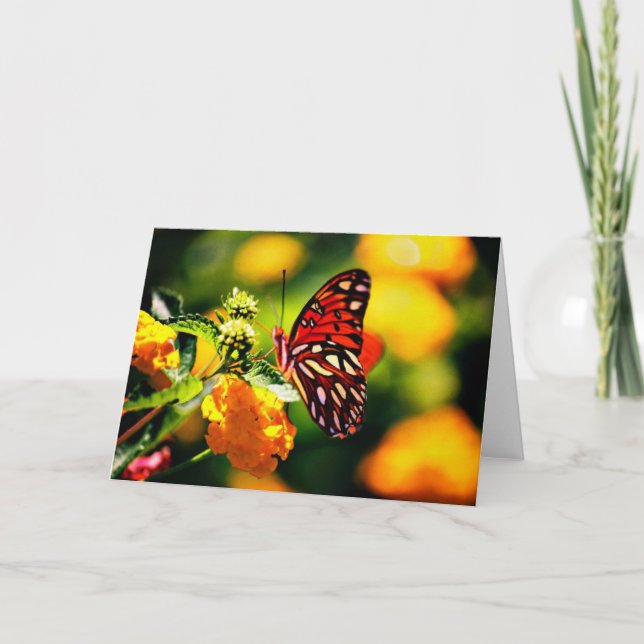 Cartão Fotografia da natureza (Frente)