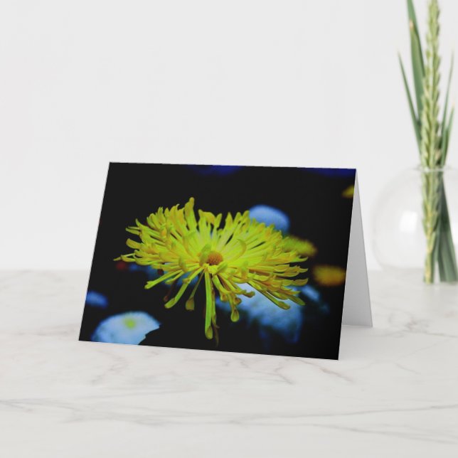 Cartão Fotografia da natureza (Frente)