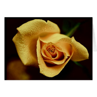 Cartão Fotografia da natureza