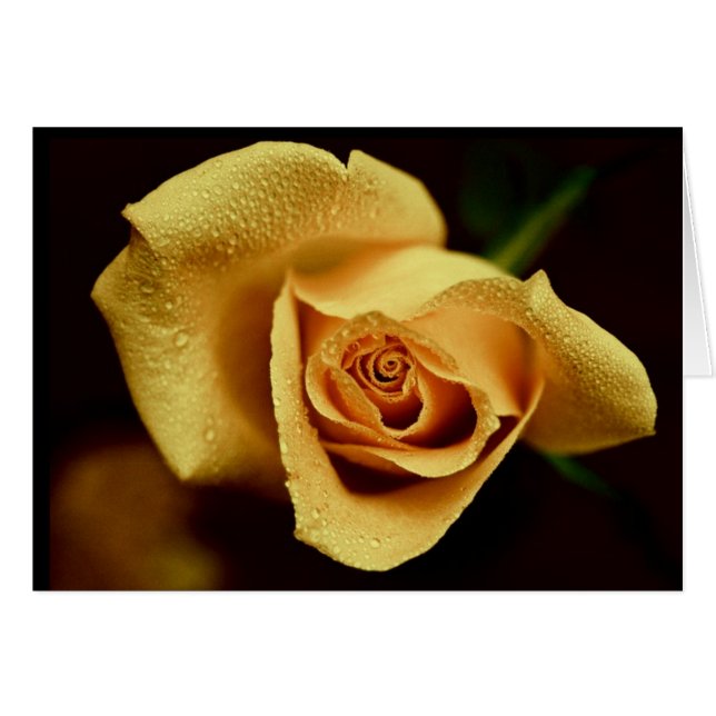 Cartão Fotografia da natureza (Frente Horizontal)