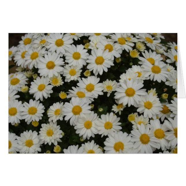 Cartão Fotografia da natureza (Frente Horizontal)