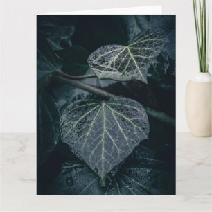 Cartão Fotografia da Natureza da Ivy Escura