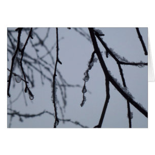 Cartão Fotografia da natureza do inverno em Icy Branches