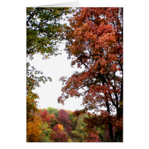 Cartão Fotografia da paisagem de outono
