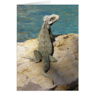 Cartão Fotografia da Vida Selvagem Tropical de Iguana